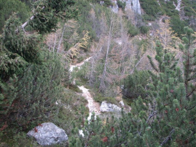 Rigljica, Rušica - foto