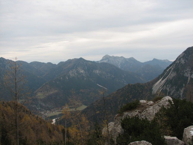 Rigljica, Rušica - foto povečava