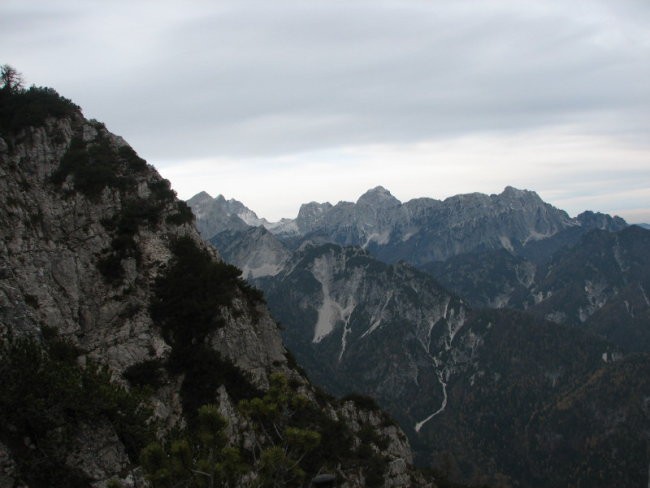 Rigljica, Rušica - foto povečava