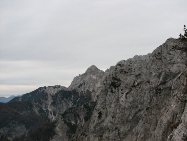 Rigljica, Rušica - foto