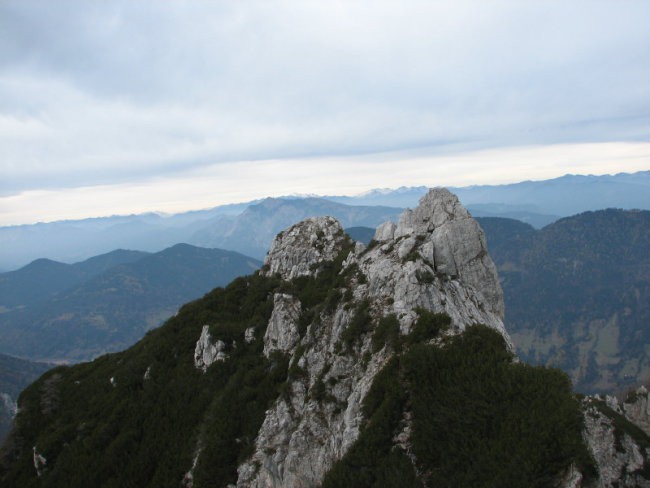 Rigljica, Rušica - foto povečava