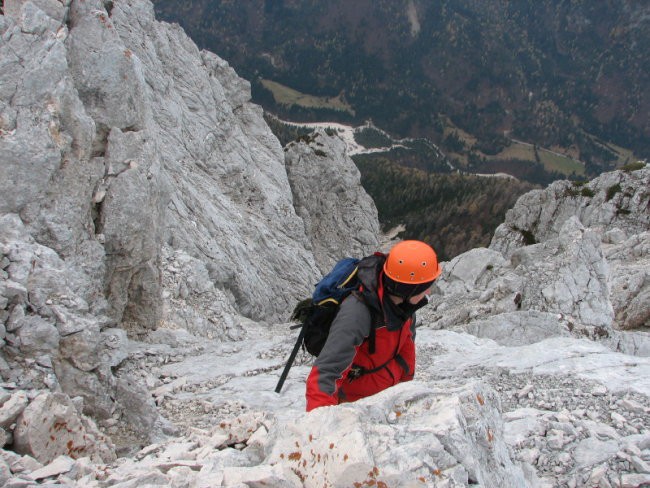 Rigljica, Rušica - foto povečava