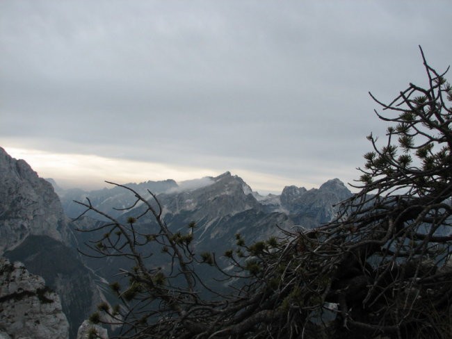 Rigljica, Rušica - foto povečava