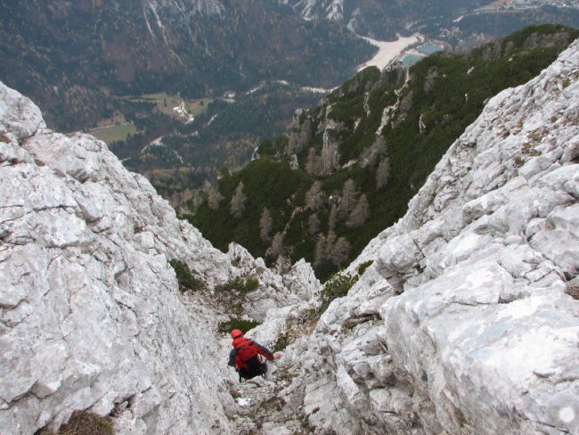 Rigljica, Rušica - foto povečava