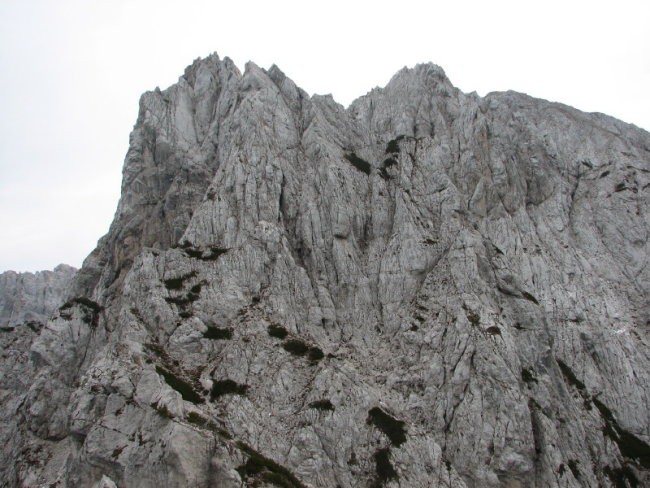 Rigljica, Rušica - foto povečava