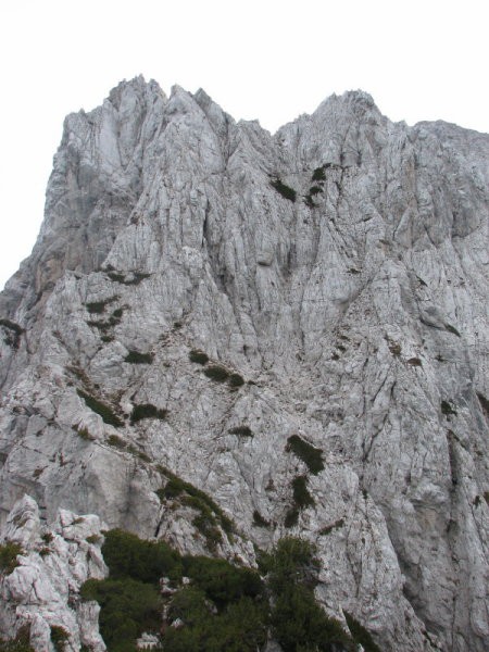 Rigljica, Rušica - foto povečava