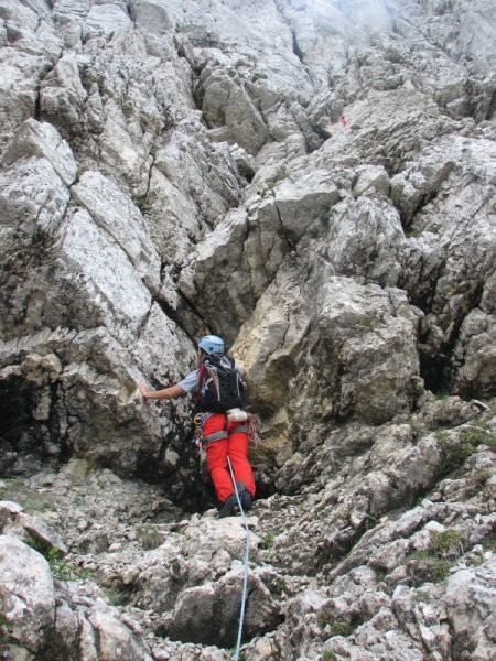 Kranjska poč - foto povečava