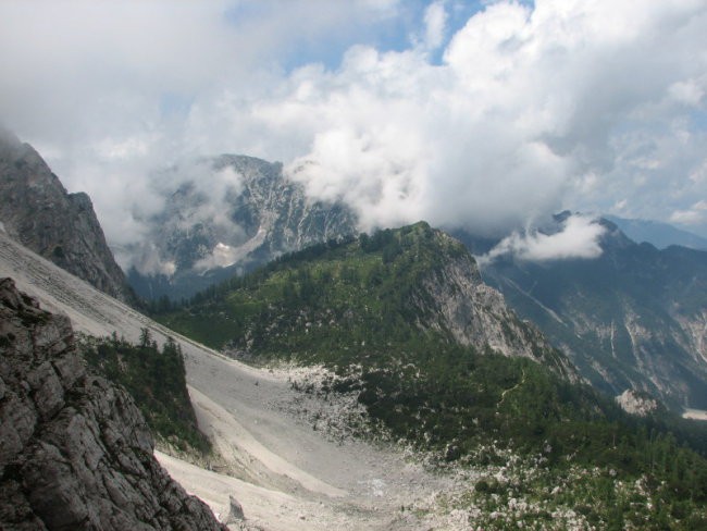 Kranjska poč - foto povečava