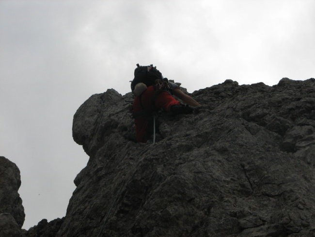 Kranjska poč - foto povečava