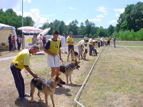 Dog show in Bakovci