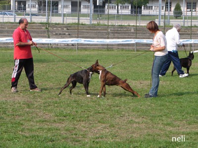 Cinzano- okt. 07 - foto povečava