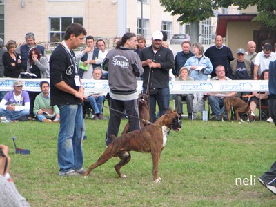 Cinzano- okt. 07 - foto povečava