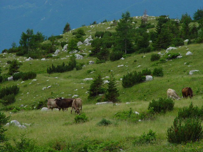 Tabor 2005  - slap ob Idrijci  - foto povečava