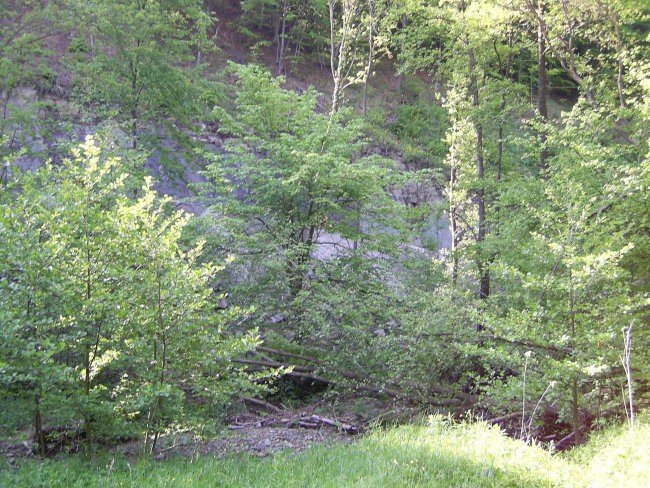 Teren rogaška slatina 11.5.06 - foto povečava