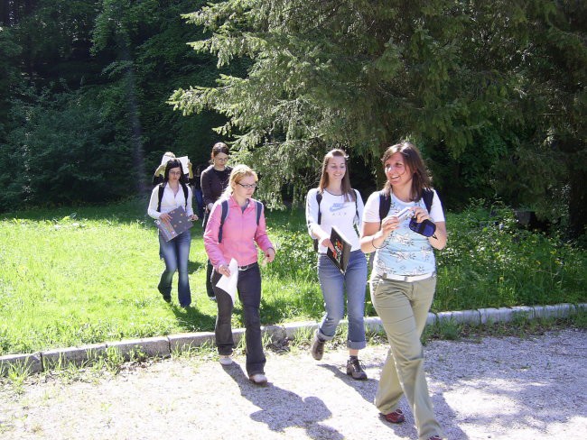 Teren rogaška slatina 11.5.06 - foto povečava