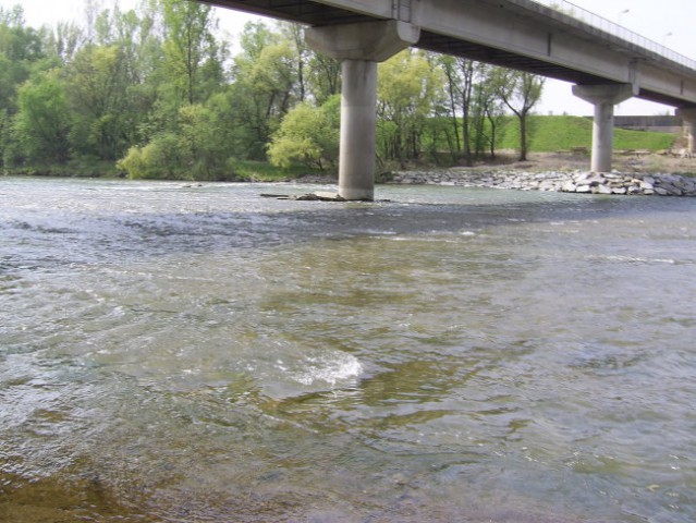 Teren meljski hrib 25.4.06 - foto