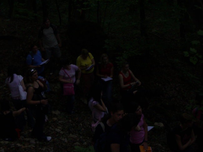 Teren:slovenske gorice 23.5.06 - foto povečava