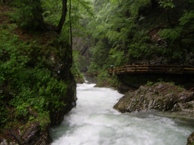 Teren: zahodna slovenija: 30-31.5.06 - foto povečava