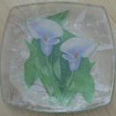 Darilo za organizatorko Iris