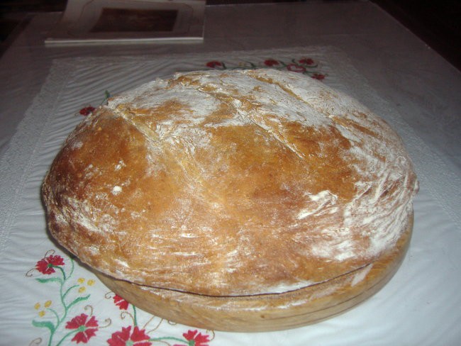 ajdov kruh