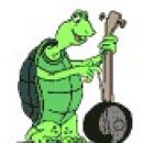 Želva s kitaro