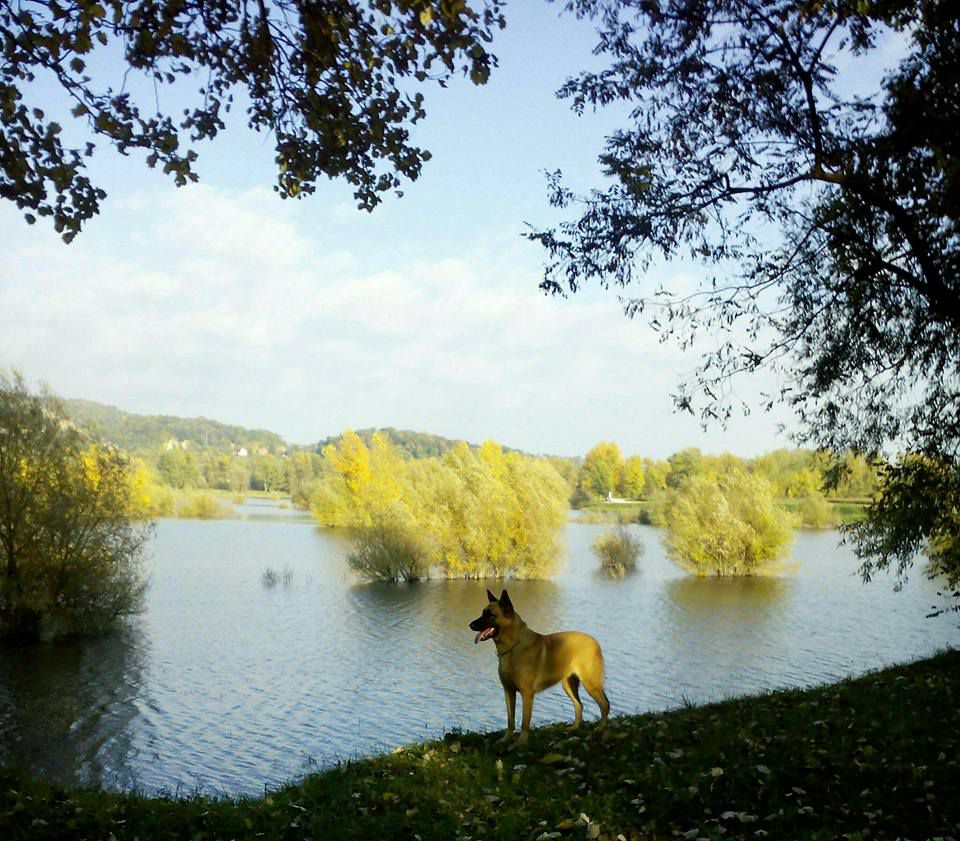 Liam i Spartha - foto povečava