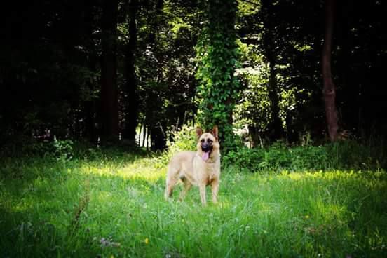 Liam i Spartha - foto povečava