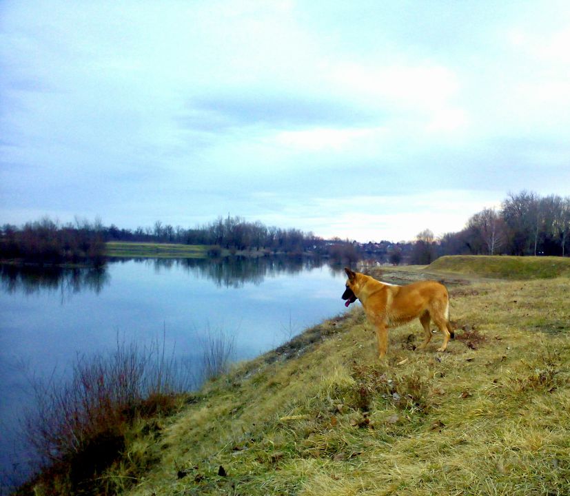 Liam i Spartha - foto povečava