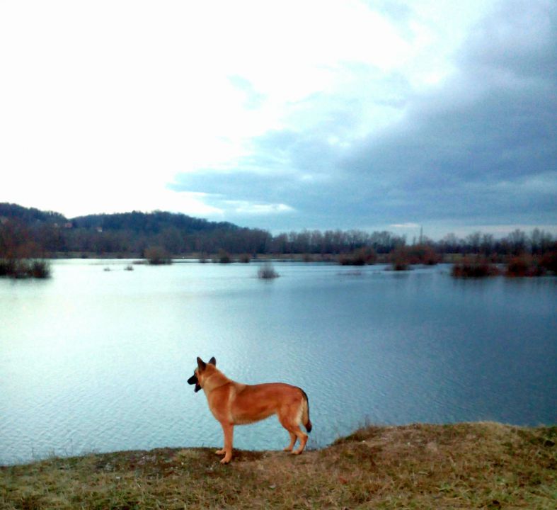 Liam i Spartha - foto povečava