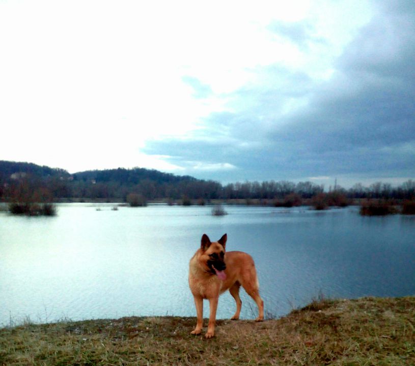 Liam i Spartha - foto povečava