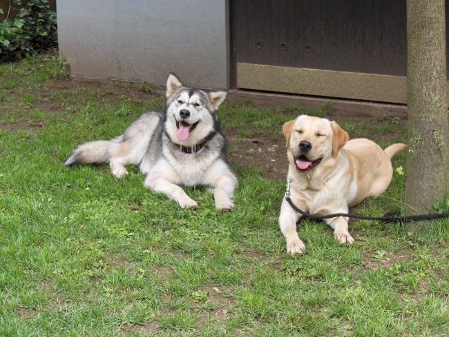 Aska & Jaka - 4.6.2006  - foto povečava