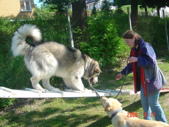 Aska & Jaka - 11.6.2006 - foto