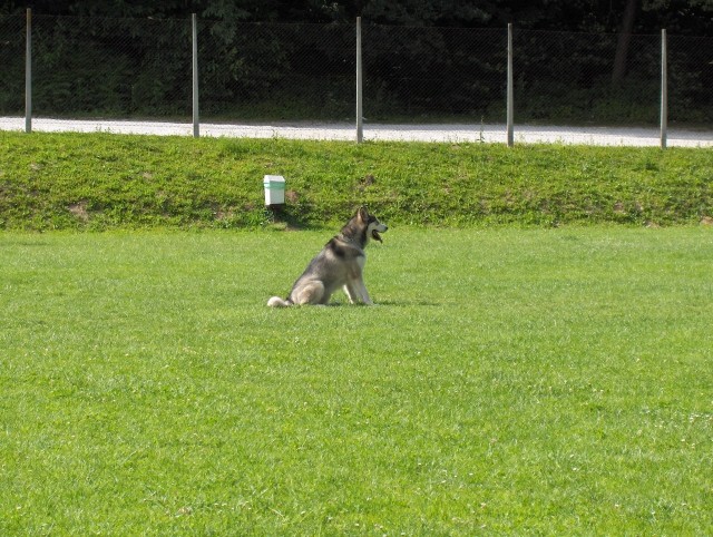 Aska & Mal - 18.6.2006 - foto povečava