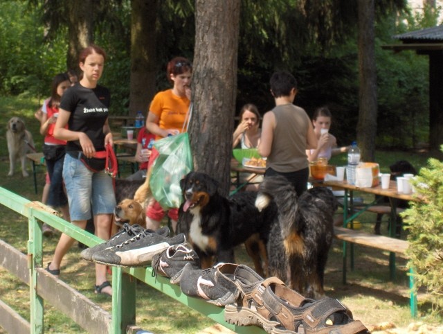 4. Pesjanarsko srečanje - Varpolje - 25.6.200 - foto povečava