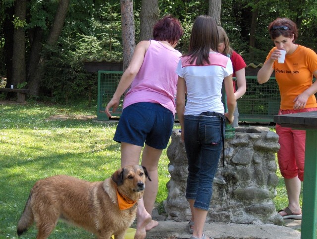 4. Pesjanarsko srečanje - Varpolje - 25.6.200 - foto povečava