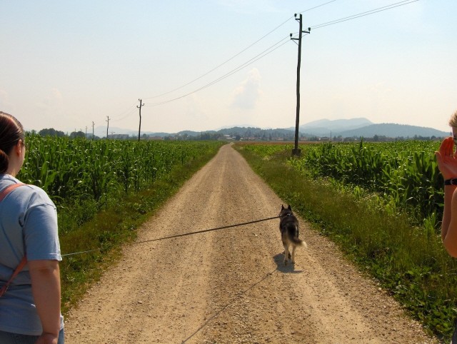 Mengeško polje - Aska, Alba in Lars - 9.7.200 - foto povečava