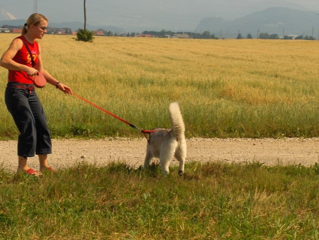 Mengeško polje - Aska, Alba in Lars - 9.7.200 - foto povečava