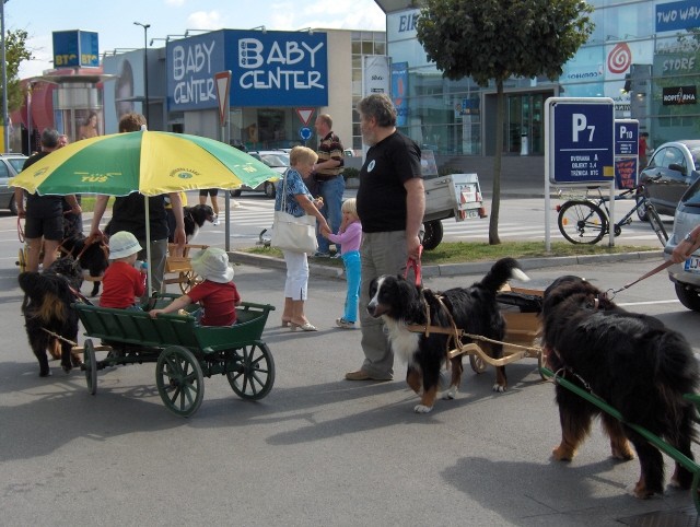 Prtedstavitev Bernčkov pred Mr. petov - 9.9.2 - foto povečava