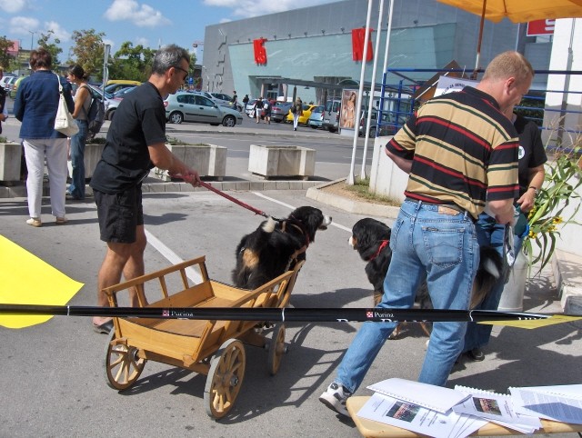 Prtedstavitev Bernčkov pred Mr. petov - 9.9.2 - foto povečava