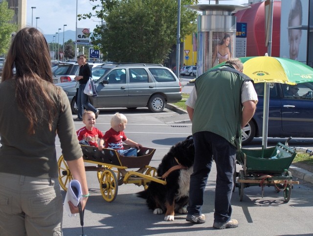 Prtedstavitev Bernčkov pred Mr. petov - 9.9.2 - foto povečava