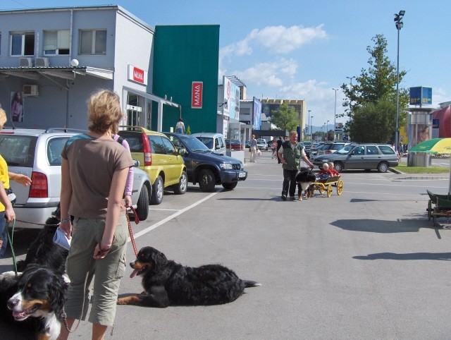 Prtedstavitev Bernčkov pred Mr. petov - 9.9.2 - foto povečava