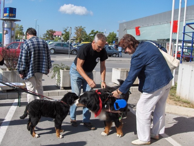 Prtedstavitev Bernčkov pred Mr. petov - 9.9.2 - foto povečava