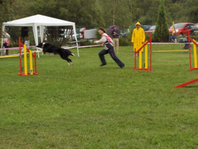 Agility tekma - Hrušica  16.9.206 - foto