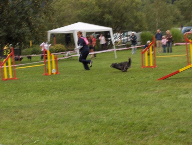 Agility tekma - Hrušica  16.9.206 - foto povečava