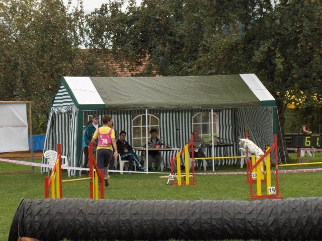 Agility tekma - Hrušica  16.9.206 - foto povečava