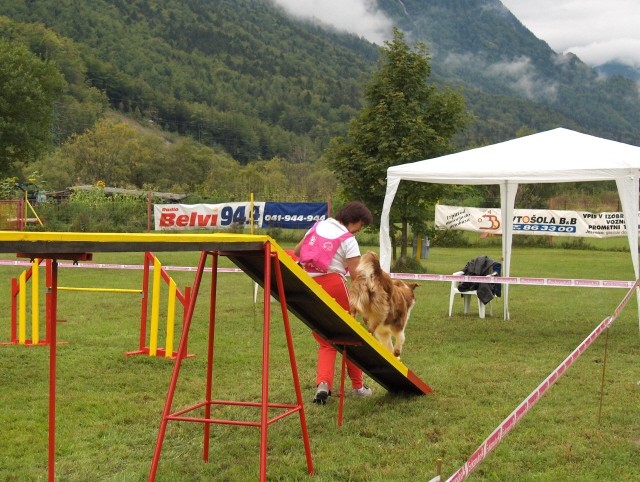 Agility tekma - Hrušica  16.9.206 - foto povečava