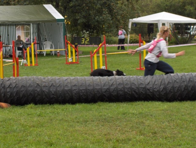 Agility tekma - Hrušica  16.9.206 - foto povečava