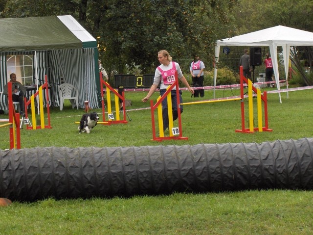 Agility tekma - Hrušica  16.9.206 - foto povečava