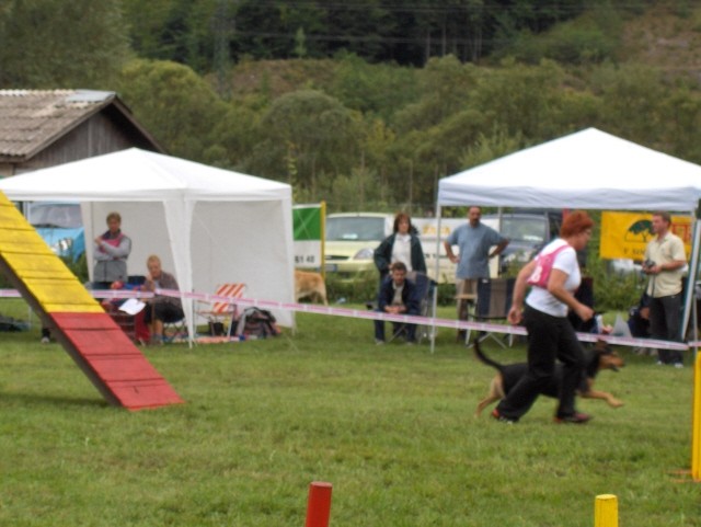 Agility tekma - Hrušica  16.9.206 - foto povečava