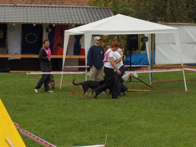 Agility tekma - Hrušica  16.9.206 - foto povečava